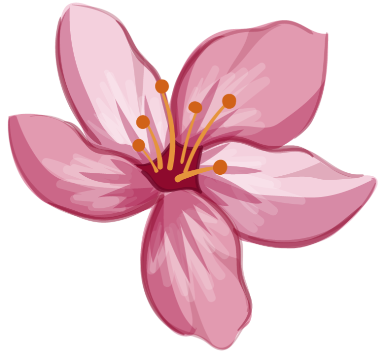 Pink flower