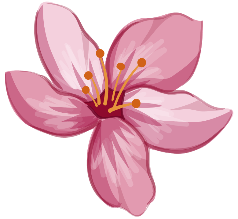 Pink flower